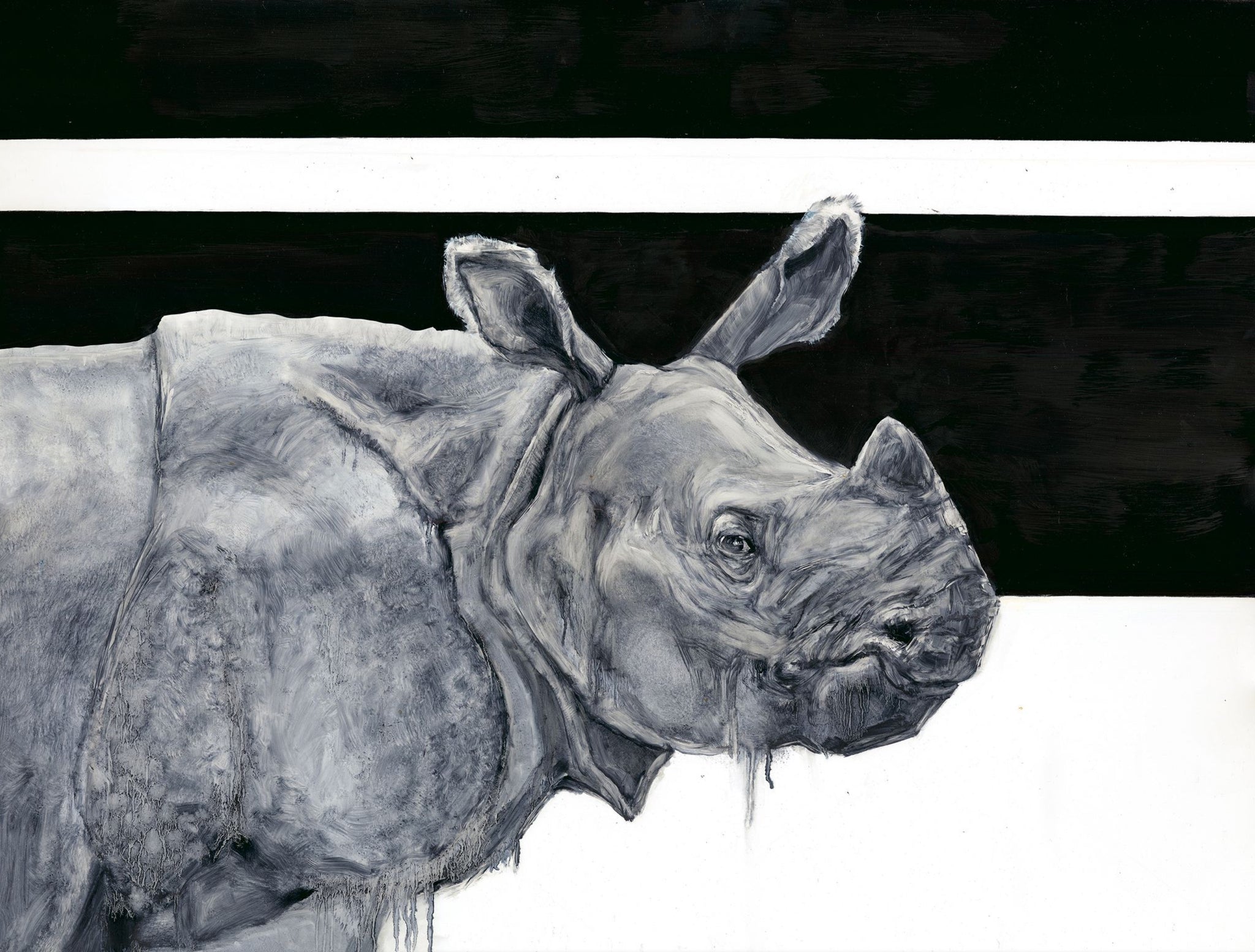 Rhino nation ~ 20x32 ~ special price!