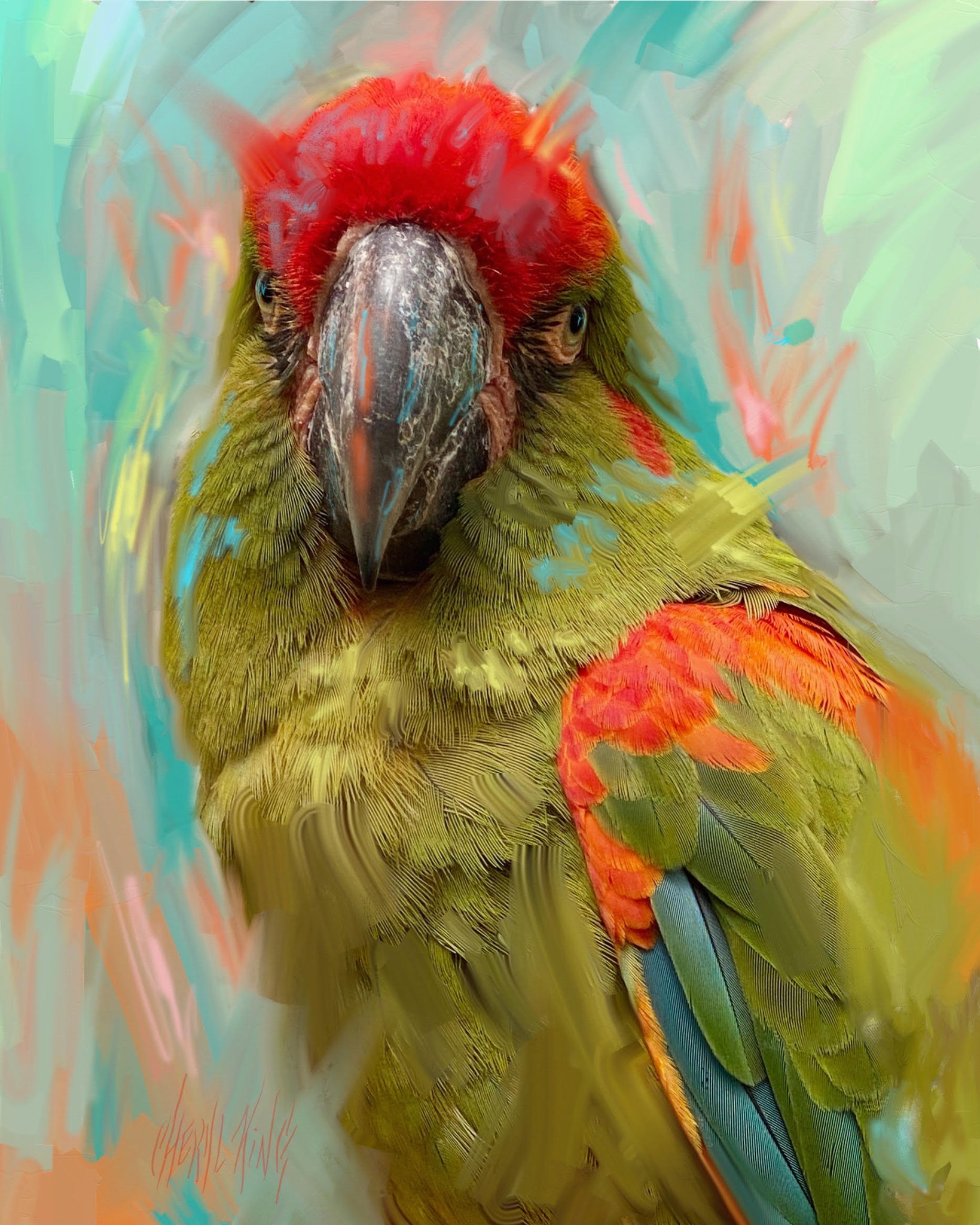 Red Fronted Macaw